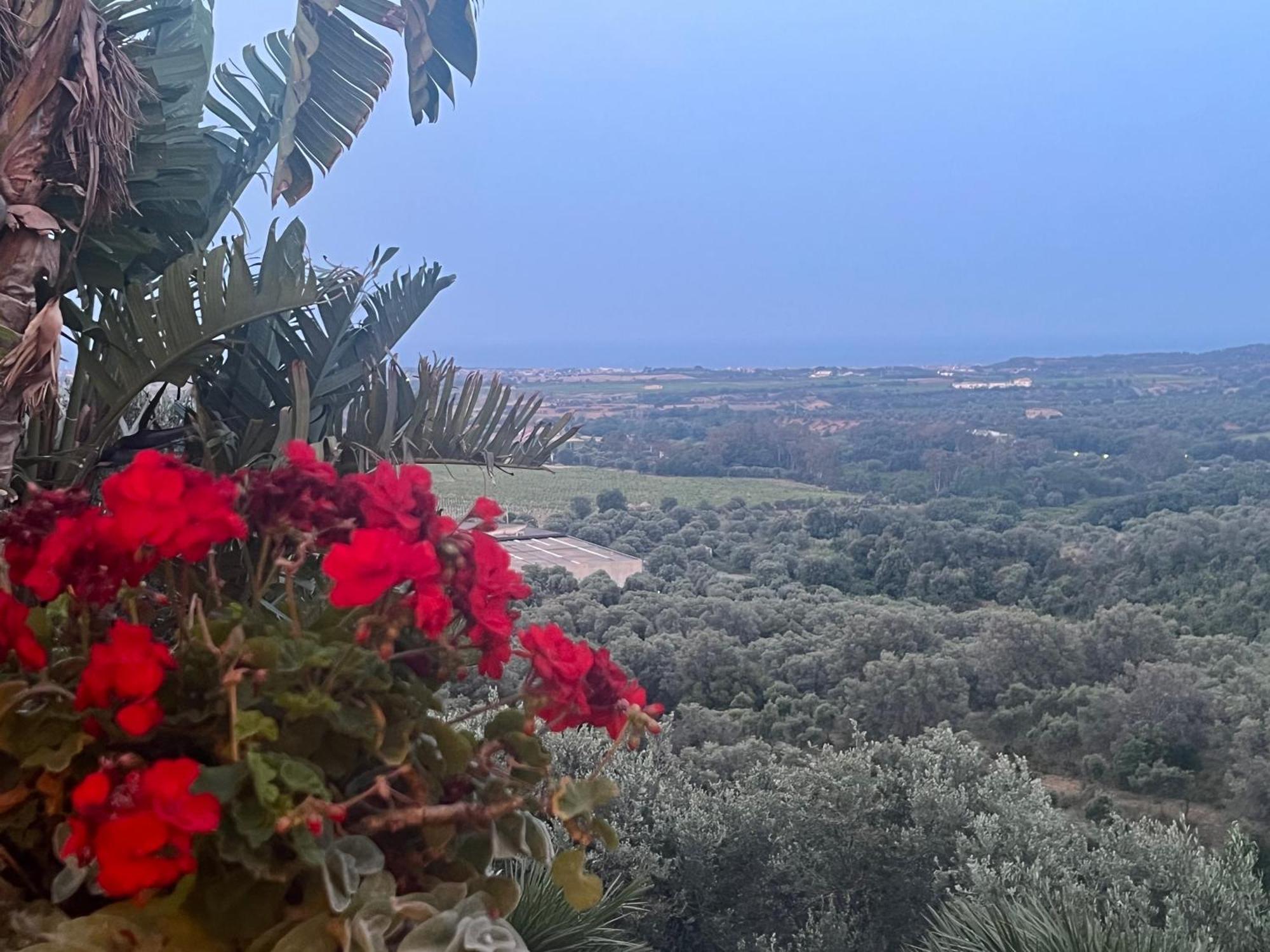 Agriturismo Catena Ciro Exterior photo